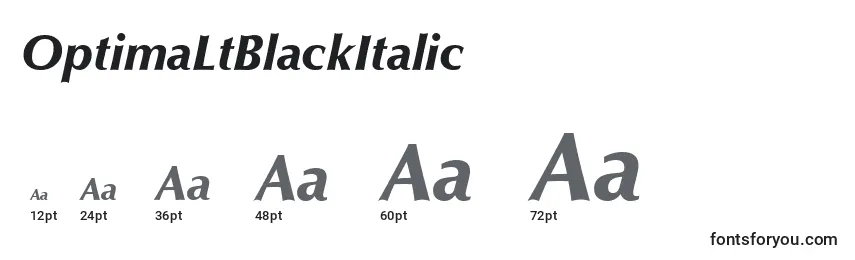 Größen der Schriftart OptimaLtBlackItalic