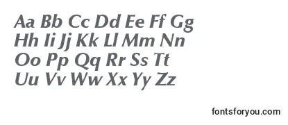 OptimaLtBlackItalic-fontti