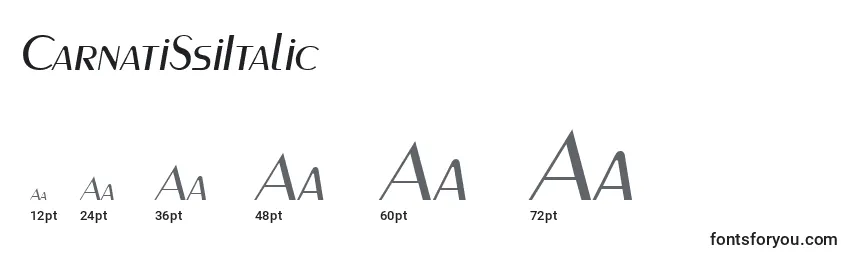 Размеры шрифта CarnatiSsiItalic