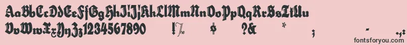 HerzogvongrafExtratall Font – Black Fonts on Pink Background