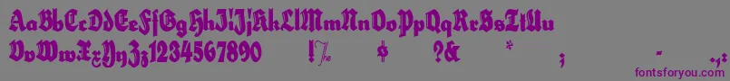 HerzogvongrafExtratall Font – Purple Fonts on Gray Background