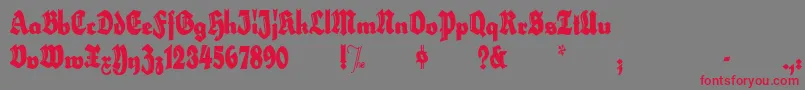 HerzogvongrafExtratall Font – Red Fonts on Gray Background