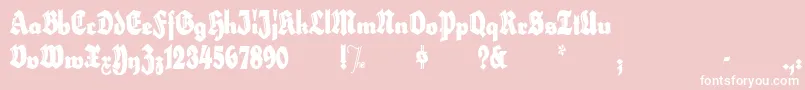 HerzogvongrafExtratall Font – White Fonts on Pink Background