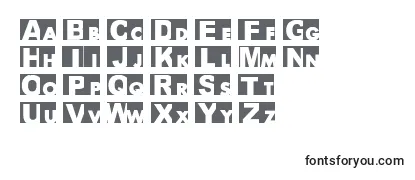 Обзор шрифта Bigarial
