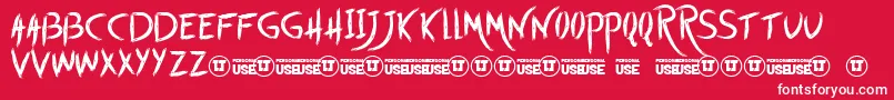 StartWithToday Font – White Fonts on Red Background