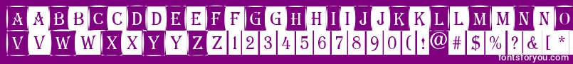 AAlgeriuscmdc1cmb Font – White Fonts on Purple Background