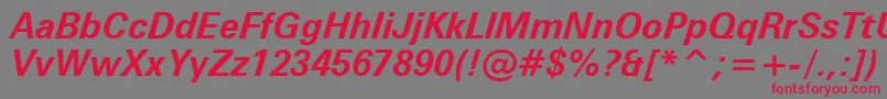 ZurichBoldItalicBt Font – Red Fonts on Gray Background