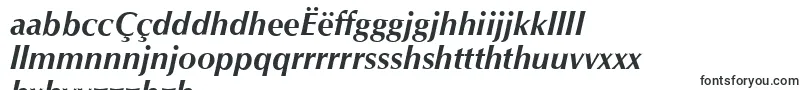 Шрифт OpusBolditalic – ньянджа шрифты