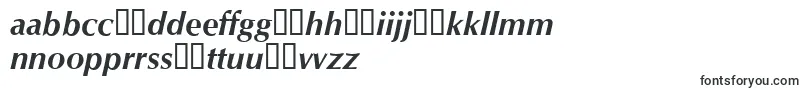 フォントOpusBolditalic – エスペラントフォント