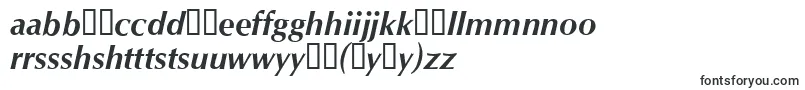 フォントOpusBolditalic – ハウスフォント