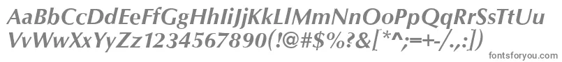 OpusBolditalic Font – Gray Fonts