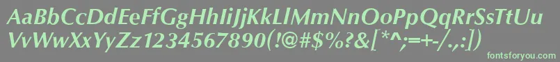 OpusBolditalic Font – Green Fonts on Gray Background