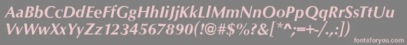 OpusBolditalic Font – Pink Fonts on Gray Background