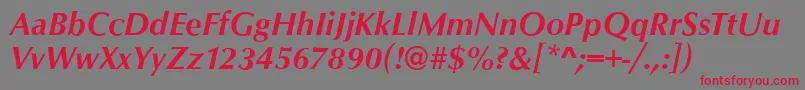 OpusBolditalic Font – Red Fonts on Gray Background
