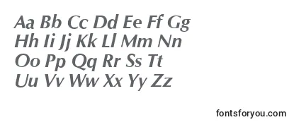 OpusBolditalic Font