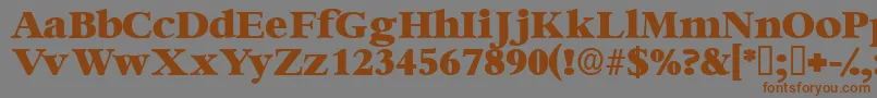 Ingenuedisplayssk Font – Brown Fonts on Gray Background