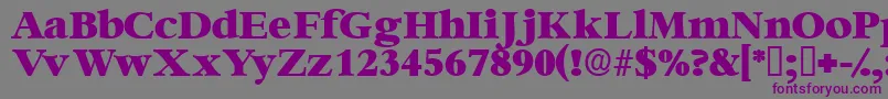 Ingenuedisplayssk Font – Purple Fonts on Gray Background