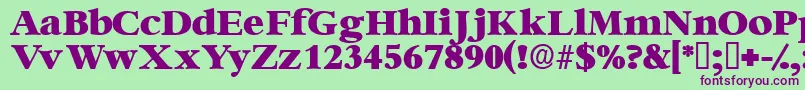 Ingenuedisplayssk Font – Purple Fonts on Green Background