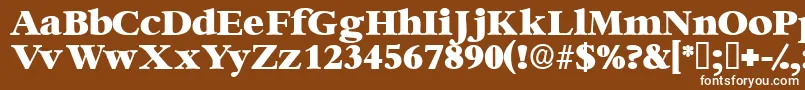 Ingenuedisplayssk Font – White Fonts on Brown Background