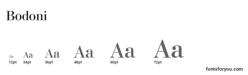 Размеры шрифта Bodoni