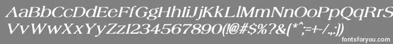 AgateBoldItalic Font – White Fonts on Gray Background