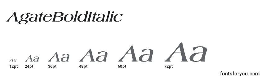 Размеры шрифта AgateBoldItalic