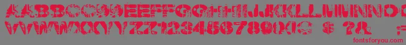 Weekendwarrior-Schriftart – Rote Schriften auf grauem Hintergrund