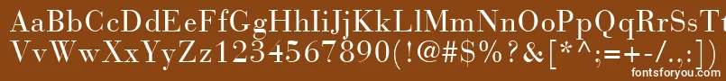 フォントBodoniRecutCondensedSsiCondensed – 茶色の背景に白い文字