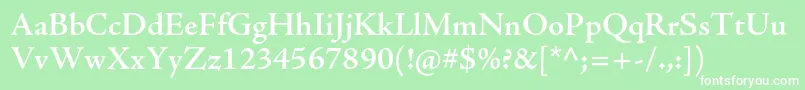 AjensonproSemibold Font – White Fonts on Green Background