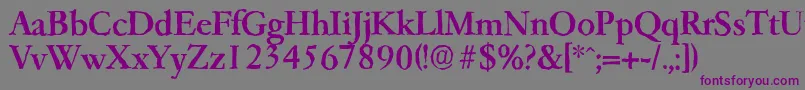Шрифт GarfeldantiqueMedium – фиолетовые шрифты на сером фоне
