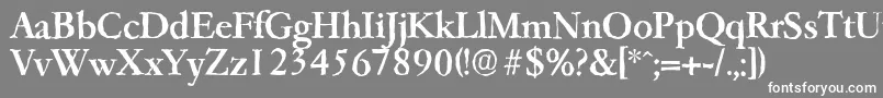 フォントGarfeldantiqueMedium – 灰色の背景に白い文字