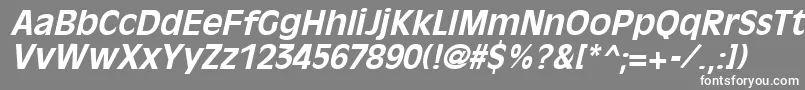 OliviaantiqueBoldItalic Font – White Fonts on Gray Background