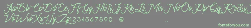Moonchrome Font – Green Fonts on Gray Background