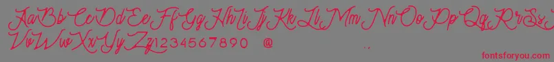 Moonchrome Font – Red Fonts on Gray Background