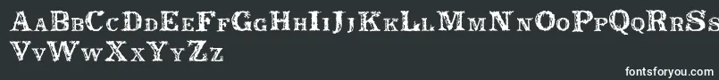 フォントRustic – 黒い背景に白い文字
