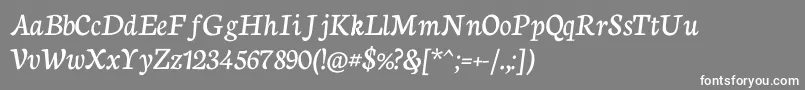フォントNeutoncursiveRegular – 灰色の背景に白い文字