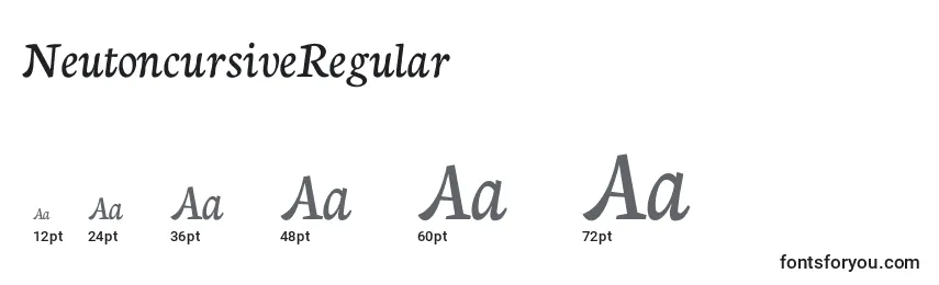 Размеры шрифта NeutoncursiveRegular