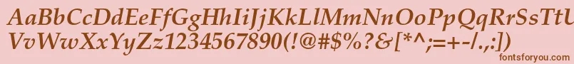 PalatinoltstdBolditalic Font – Brown Fonts on Pink Background