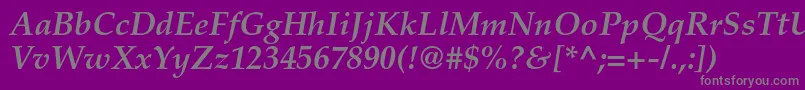 PalatinoltstdBolditalic Font – Gray Fonts on Purple Background
