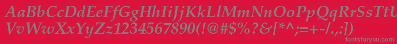PalatinoltstdBolditalic Font – Gray Fonts on Red Background