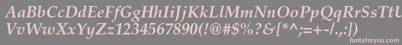 PalatinoltstdBolditalic Font – Pink Fonts on Gray Background