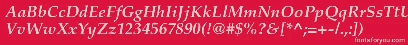 PalatinoltstdBolditalic Font – Pink Fonts on Red Background