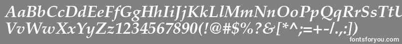 PalatinoltstdBolditalic Font – White Fonts on Gray Background