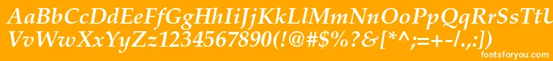 PalatinoltstdBolditalic Font – White Fonts on Orange Background