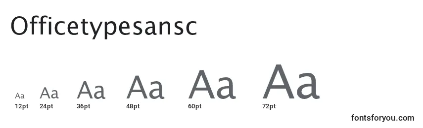 Размеры шрифта Officetypesansc