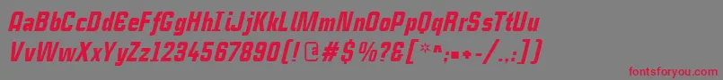 CasestudynooneLtBlackItalic Font – Red Fonts on Gray Background