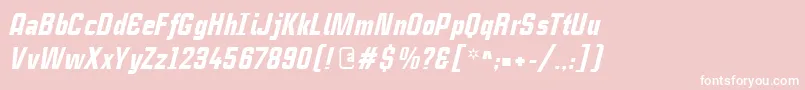 CasestudynooneLtBlackItalic Font – White Fonts on Pink Background