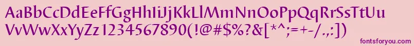 Barbedortmed Font – Purple Fonts on Pink Background