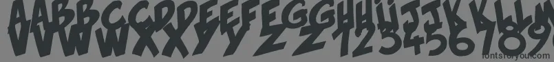 Hirnbold Font – Black Fonts on Gray Background