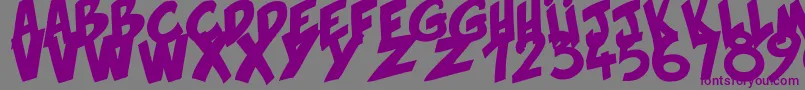 Hirnbold Font – Purple Fonts on Gray Background